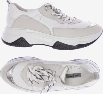 Paul Green Sneakers & Trainers in 39,5 in White: front