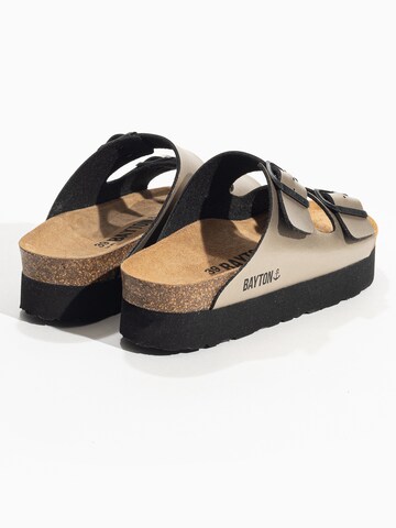 Mule 'Edith' Bayton en or