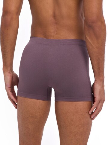 FALKE Boxer shorts 'Seamless' in Brown