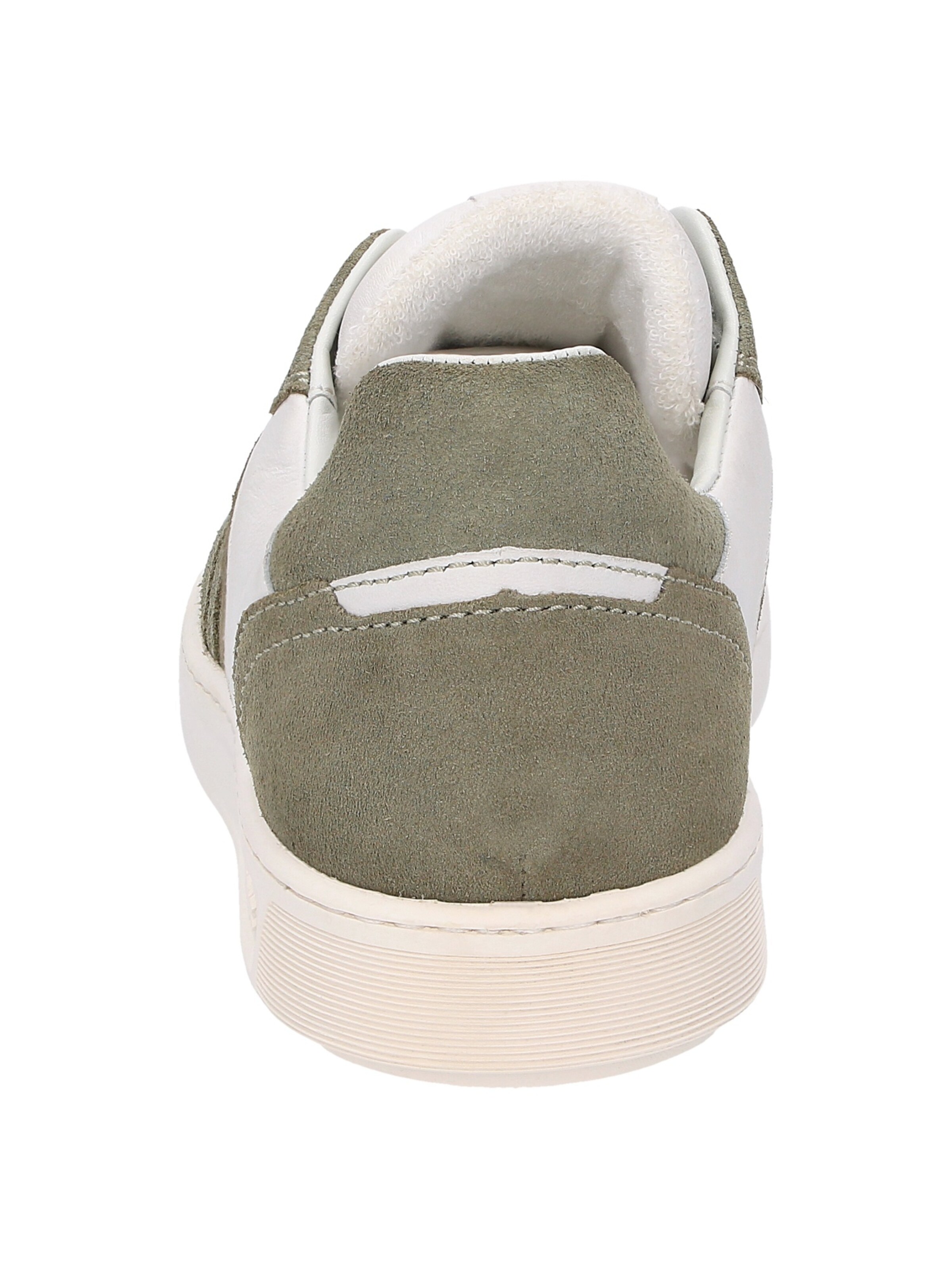 SIOUX Sneaker 'Tedroso' in Grün