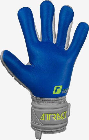 REUSCH Athletic Gloves 'Attrakt' in Grey