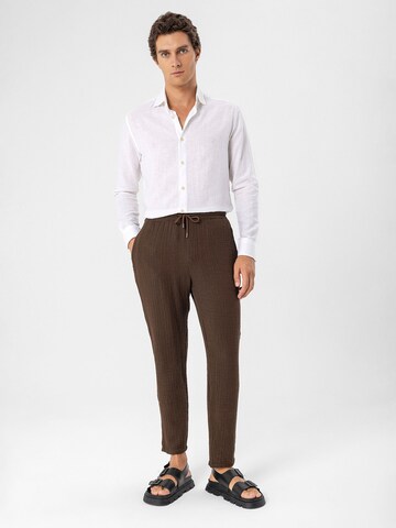 regular Pantaloni di Antioch in marrone