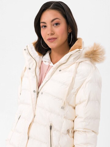 Giacca invernale di Daniel Hills in beige