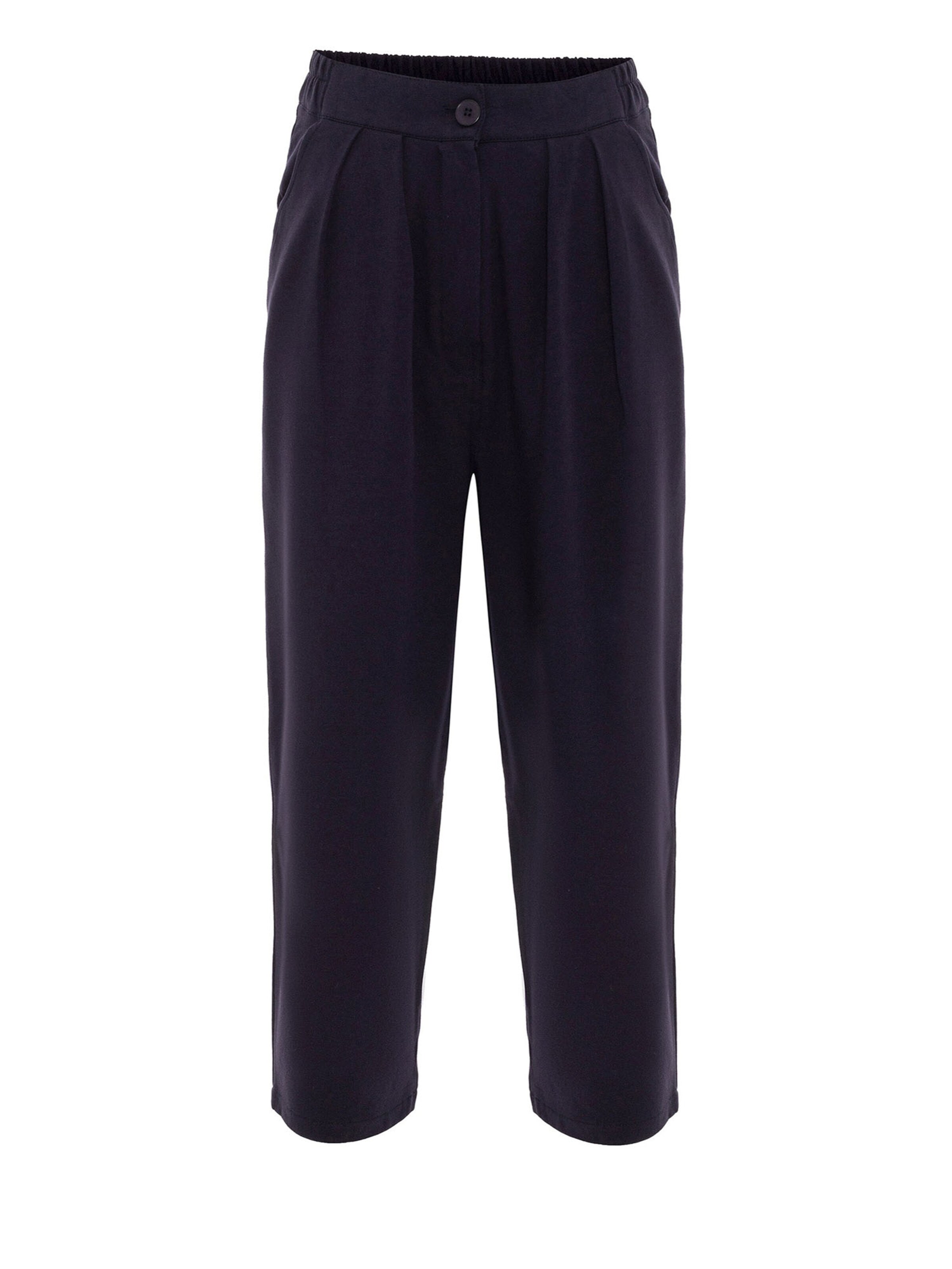 Anou Anou regular Παντελόνι πλισέ σε μπλε: μπροστά