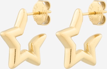 GUESS Серьги в Золотой: спереди