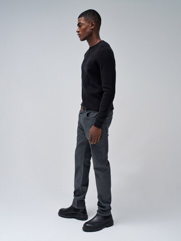Salsa Jeans Slimfit Hose in Grau