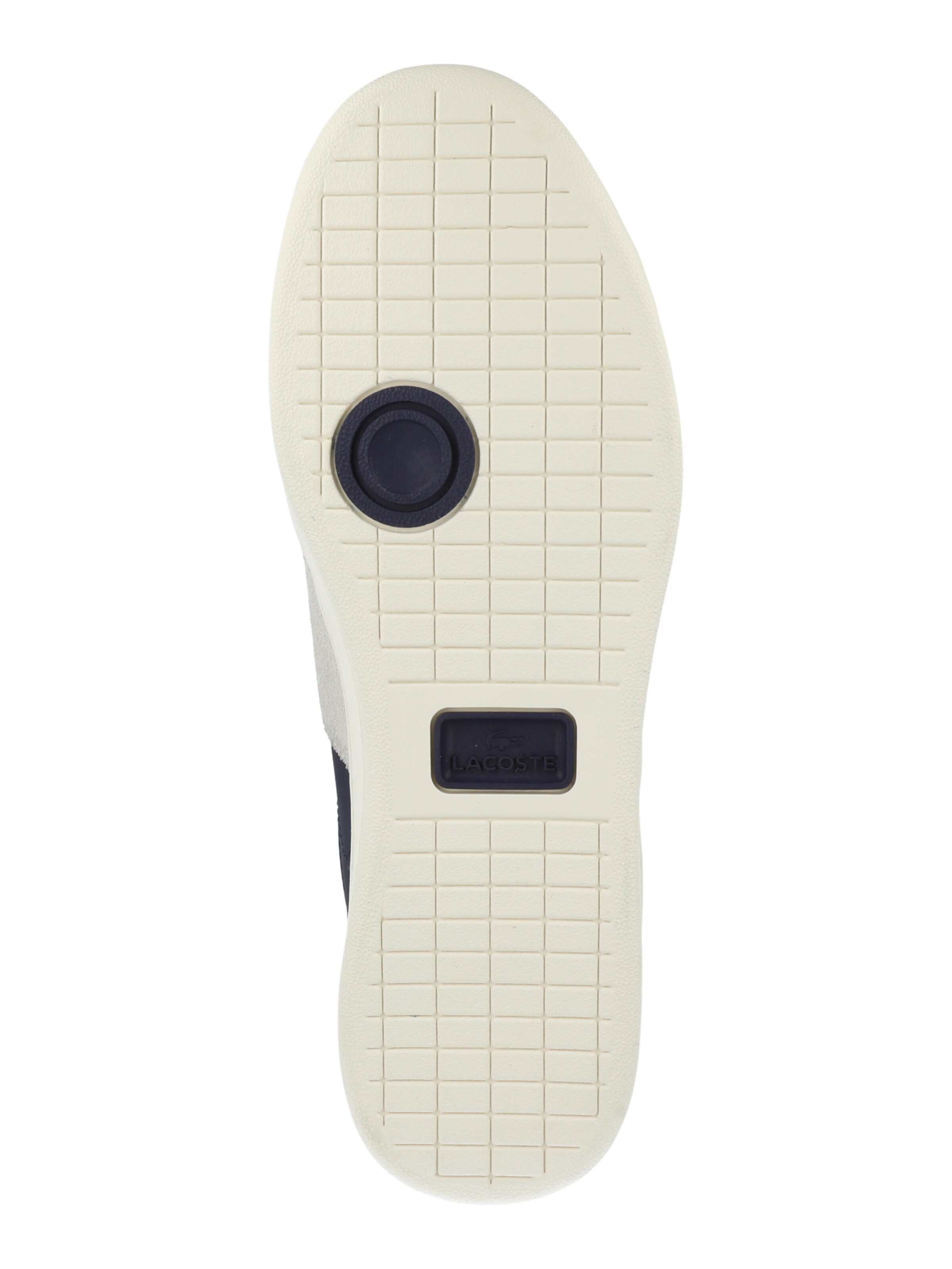 LACOSTE Nizke superge 'Carnaby Pro CGR' | modra barva