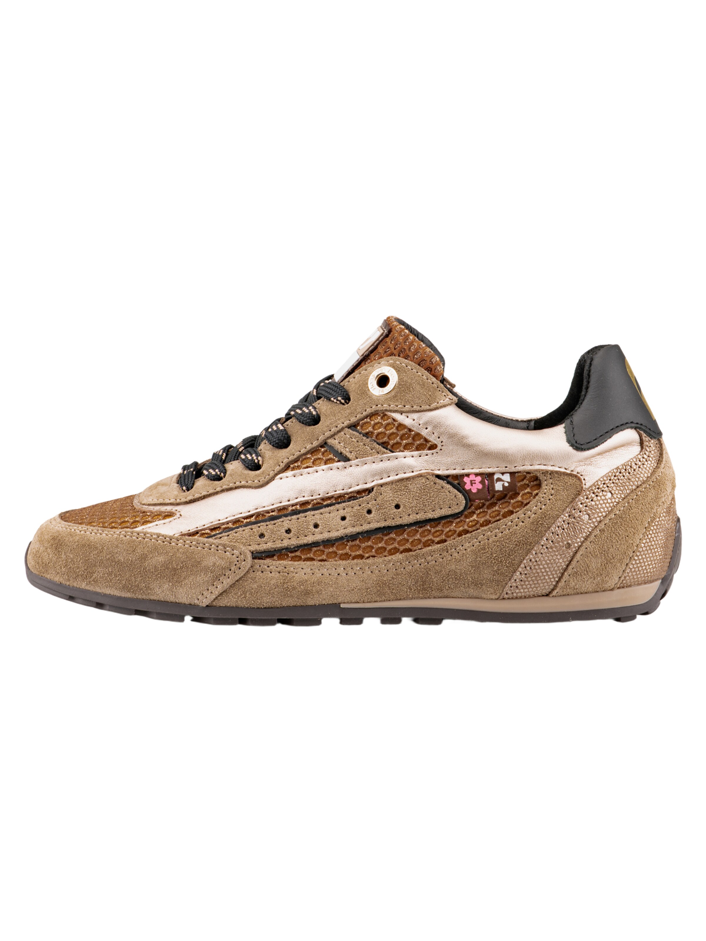 Floris van Bommel Sneakers laag 'Illvi 01' in Bruin: voorkant