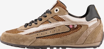 Floris van Bommel Sneakers laag 'Illvi 01' in Bruin: voorkant