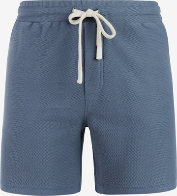 PROTEST Pants 'PRTGraig' in Blue: front