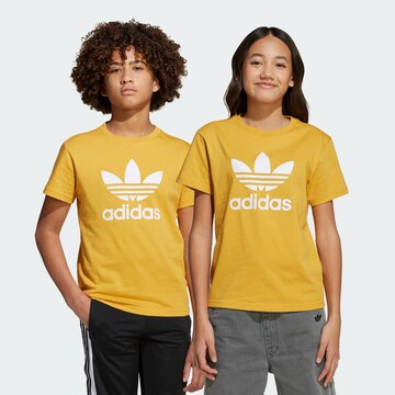 ADIDAS ORIGINALS Shirt 'Adicolor Trefoil' in Yellow: front
