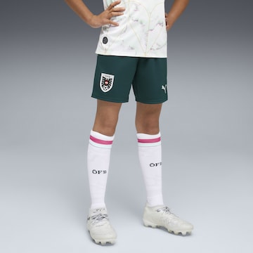 PUMA Regular Sports trousers 'Österreich 2026' in Green: front