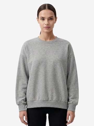 Felpa 'Sweatshirts' di Tommy Life in grigio