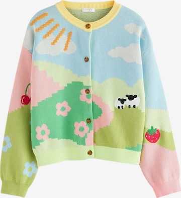 Next Neuletakki värissä monivärinen: etupuoli