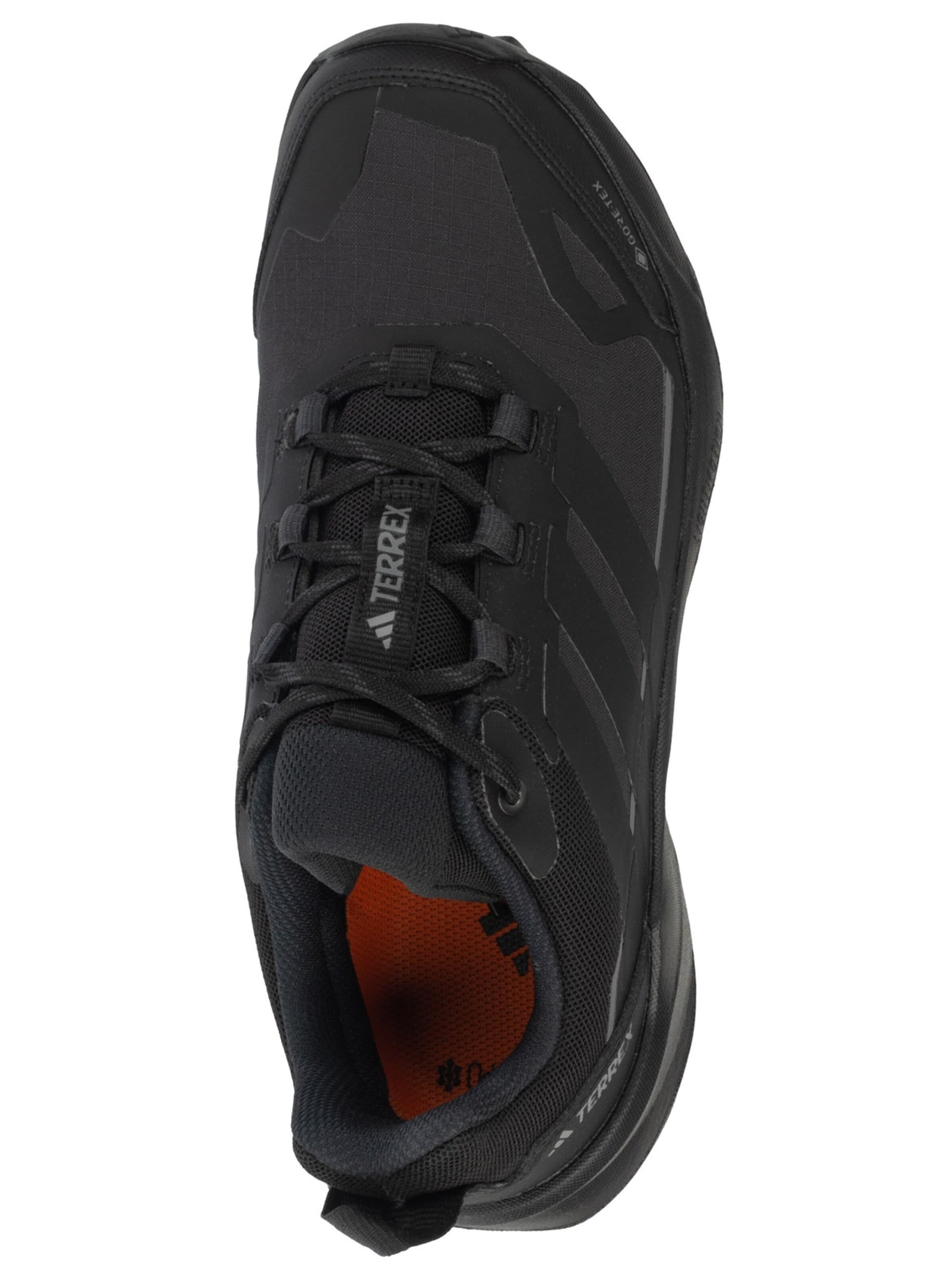 ADIDAS PERFORMANCE Lage schoen 'Terrex Skychaser AX5 GTX' in Zwart