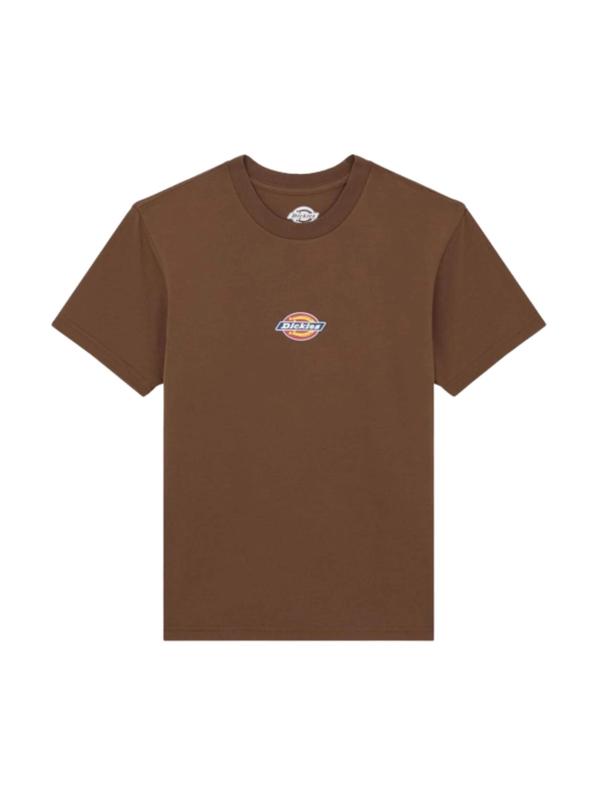 Maglietta 'DICKIES MAPLE VALLEY REG TEE W T-SHIRT' di DICKIES in marrone: frontale