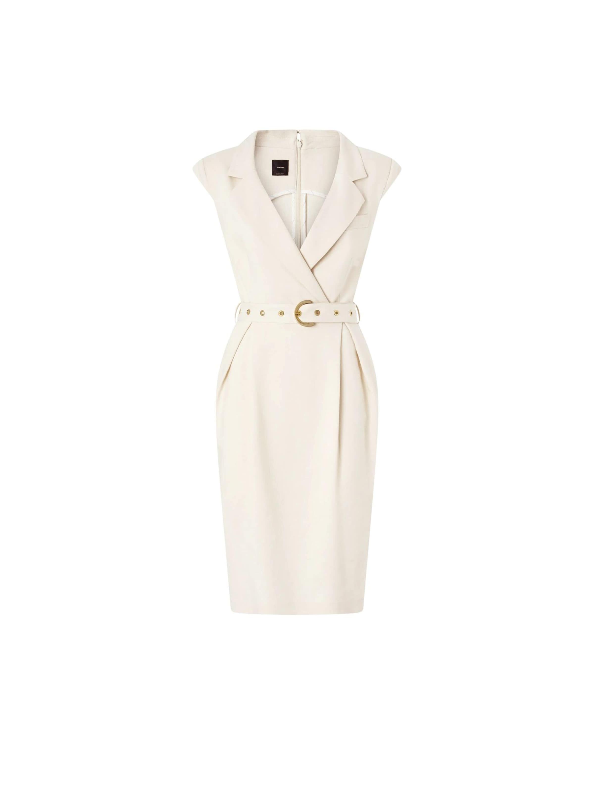 PINKO Robe 'AMADINE' en blanc, Vue avec produit