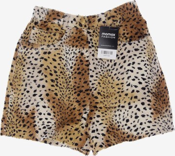 Elegance Paris Shorts in XXXS in Brown: front