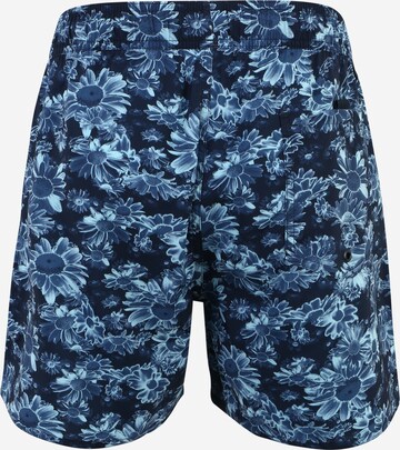 ADIDAS SPORTSWEAR Swimming Trunks 'Short  Graphic' in Blue