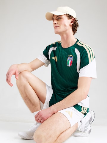 ADIDAS PERFORMANCE Trikot 'FIGC TR JSY' – zelená