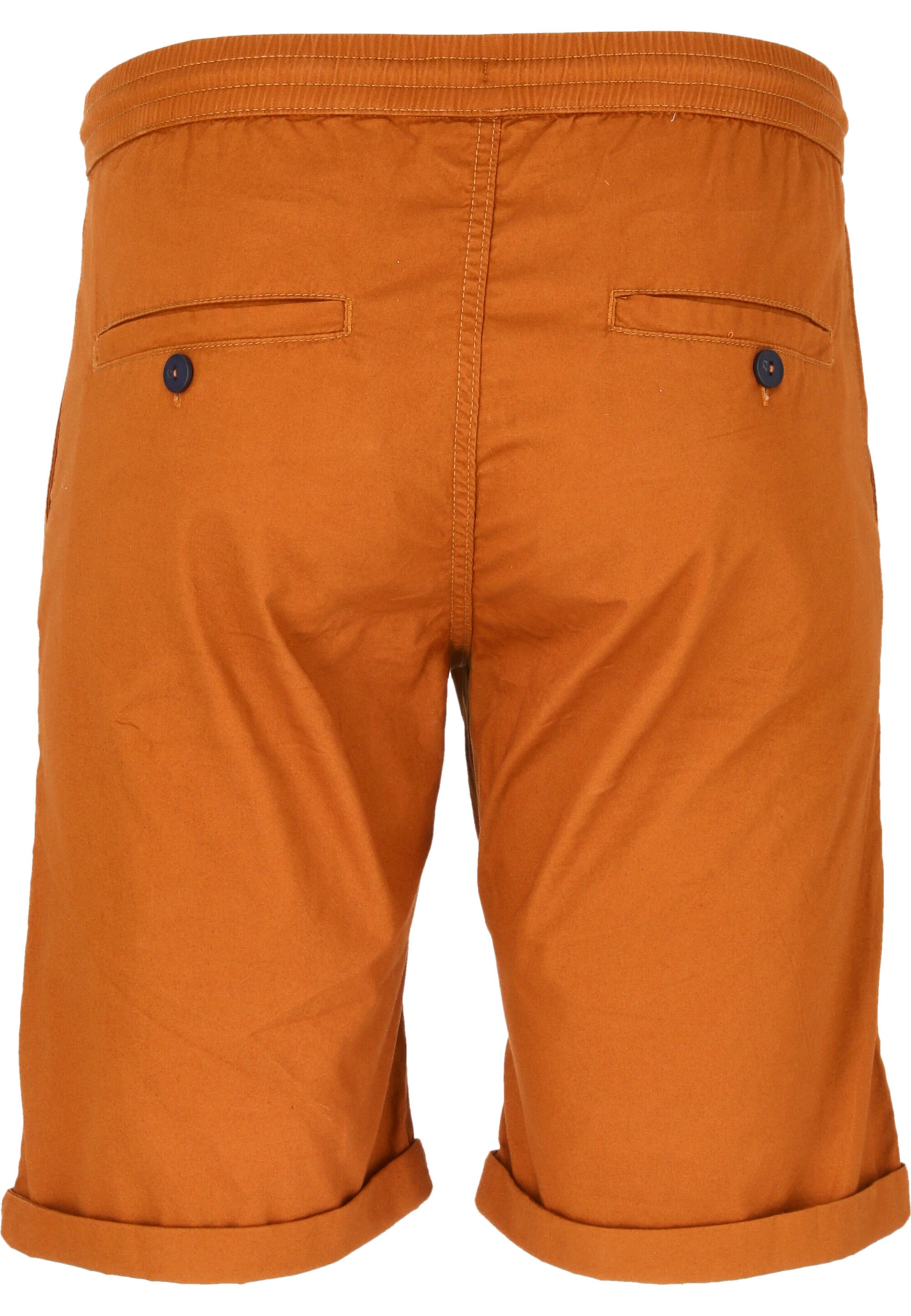 Cruz Regular Shorts 'Gilchrest' in Orange