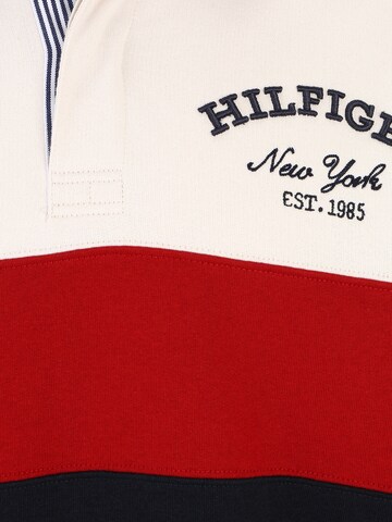 TOMMY HILFIGER Trui in Wit