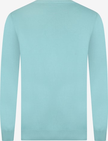 DENIM CULTURE Sweter 'Neroli' w kolorze niebieski