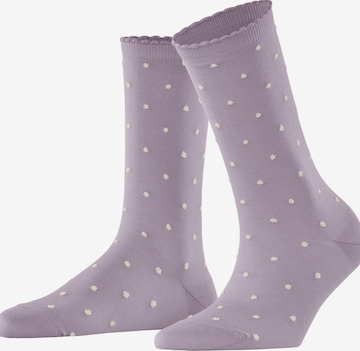 FALKE Socken 'Spike' in Lila: Vorderseite