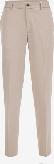WE Fashion Pleated Pants in mottled beige, Item view