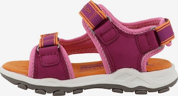 Sandalo di TOM TAILOR in rosa: frontale