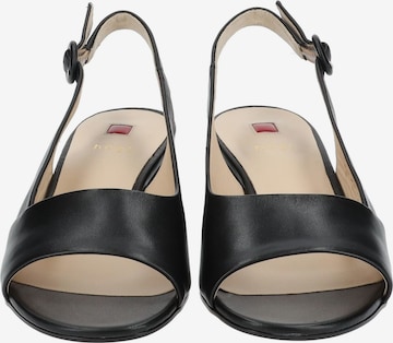Högl Sandals in Black