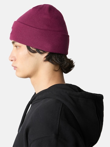 Bonnet 'NORM' THE NORTH FACE en violet