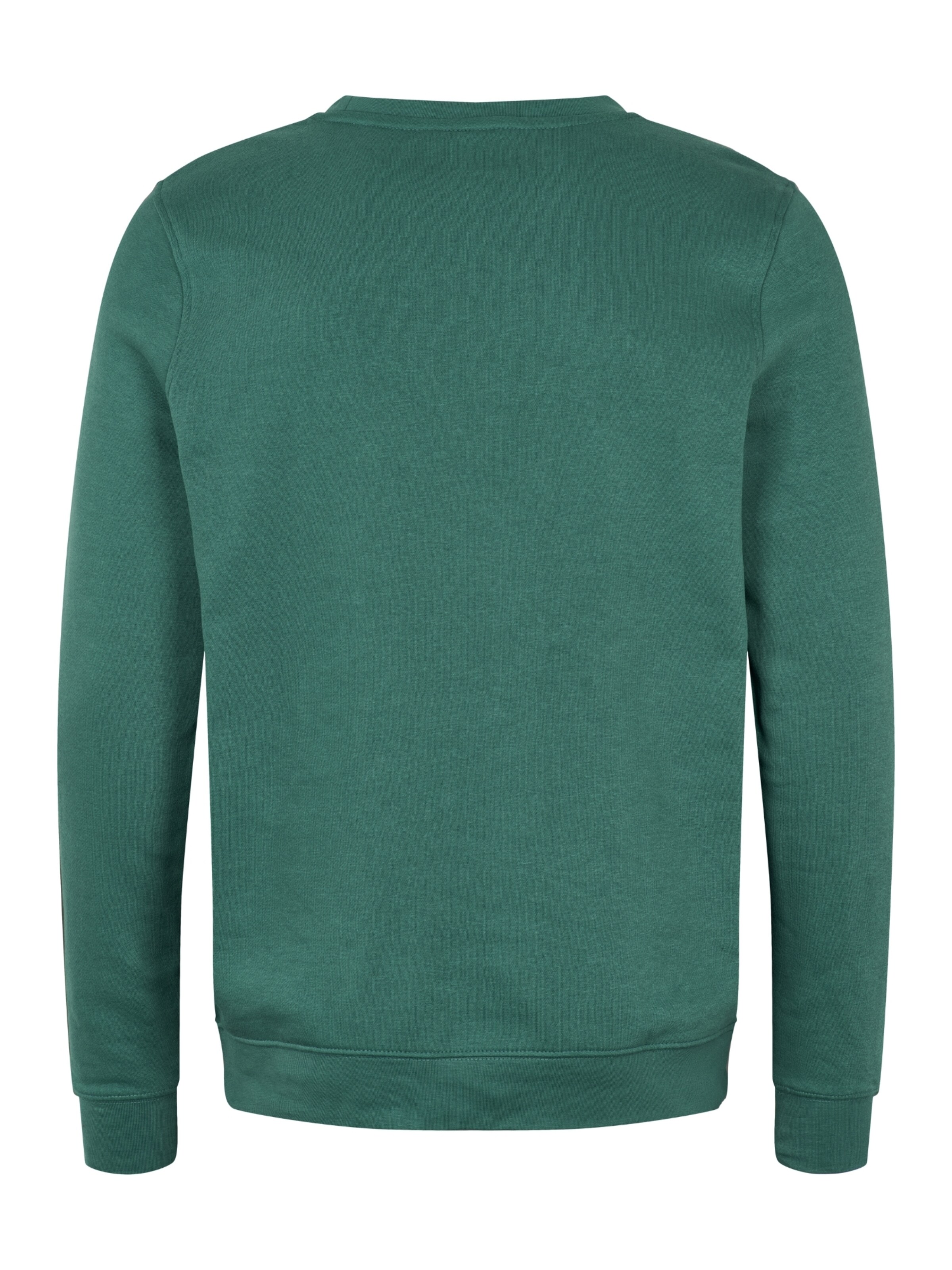 KAPPA Pullover 'KMLogo Airvit' in Grün