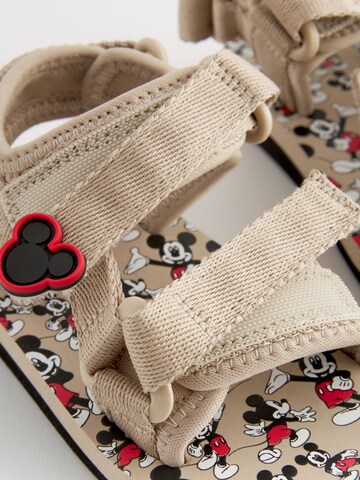 Next - Zapatos abiertos en beige