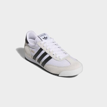 ADIDAS ORIGINALS Sneakers 'R71' in White: front