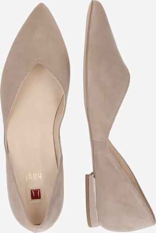 Högl Ballet Flats in Beige