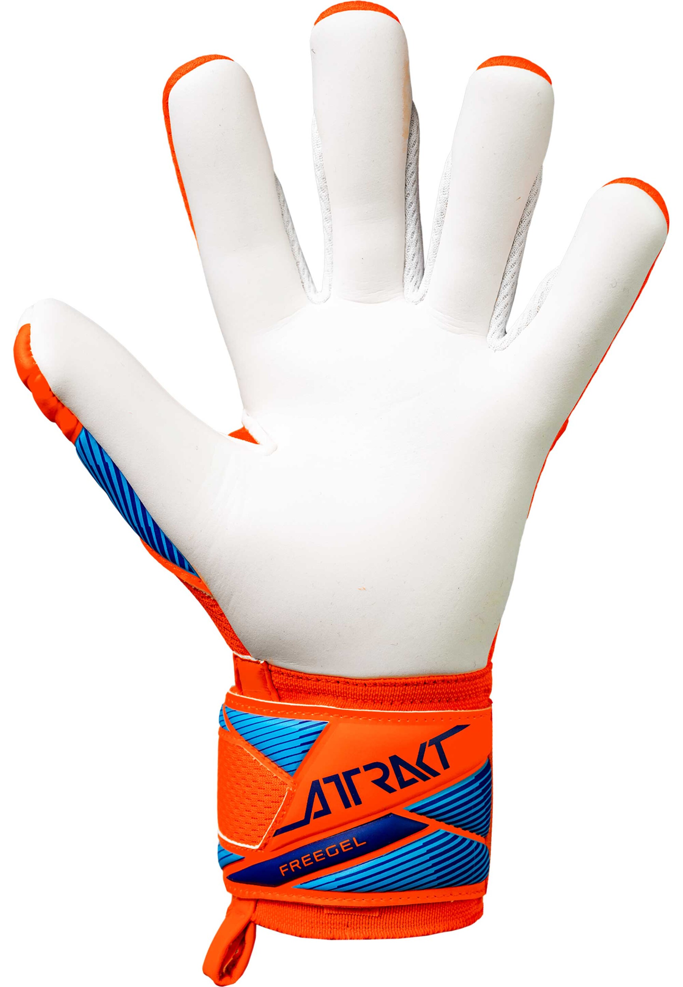 REUSCH Athletic Gloves 'Attrakt Freegel Advance Junior' in Blue