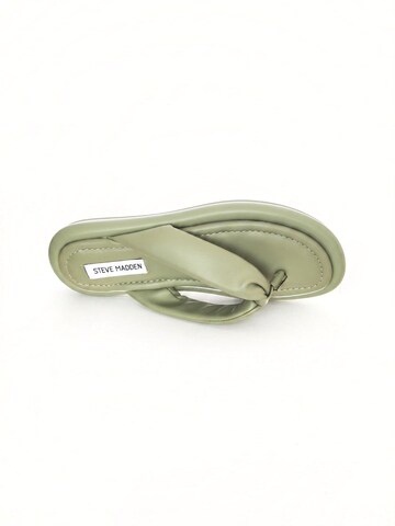 Infradito 'CEELO AGAVE' di STEVE MADDEN in verde