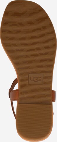 UGG T-Bar Sandals 'Madeena' in Brown