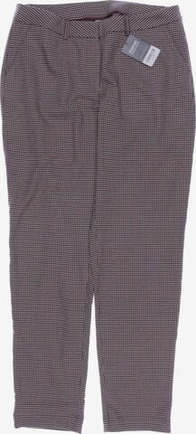 Qiero Pants in XL in Beige: front