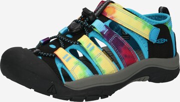 KEEN Schuhe 'NEWPORT H2' in Mischfarben: predná strana