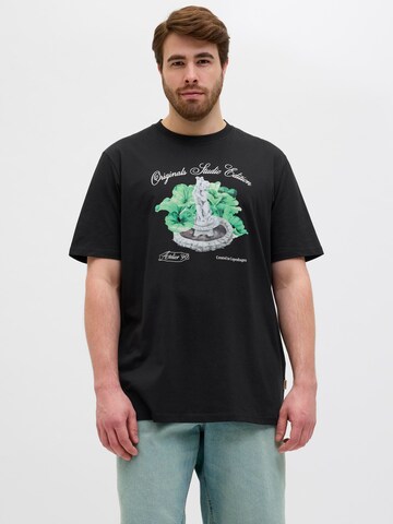 Jack & Jones Plus Bluser & t-shirts i sort: forside