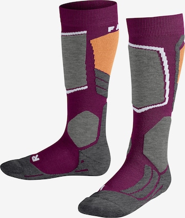 FALKE Athletic Socks 'SK2 Intermediate' in Purple: front