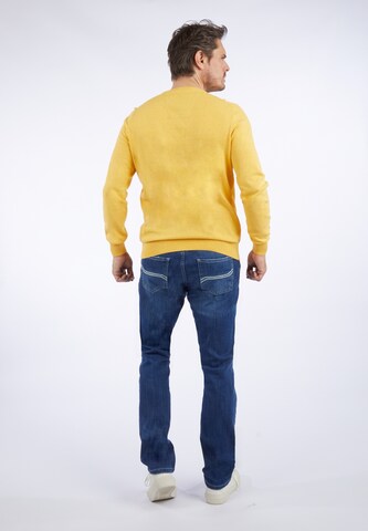 HECHTER PARIS Sweater in Yellow