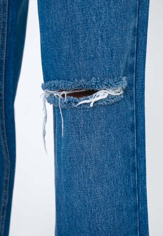 FRESHLIONS Regular Jeans 'Sofia' in Blauw