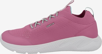 GEOX Sneaker 'Sprintye' in Pink