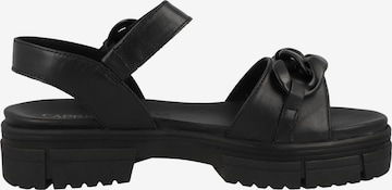 CAPRICE Strap sandal in Black