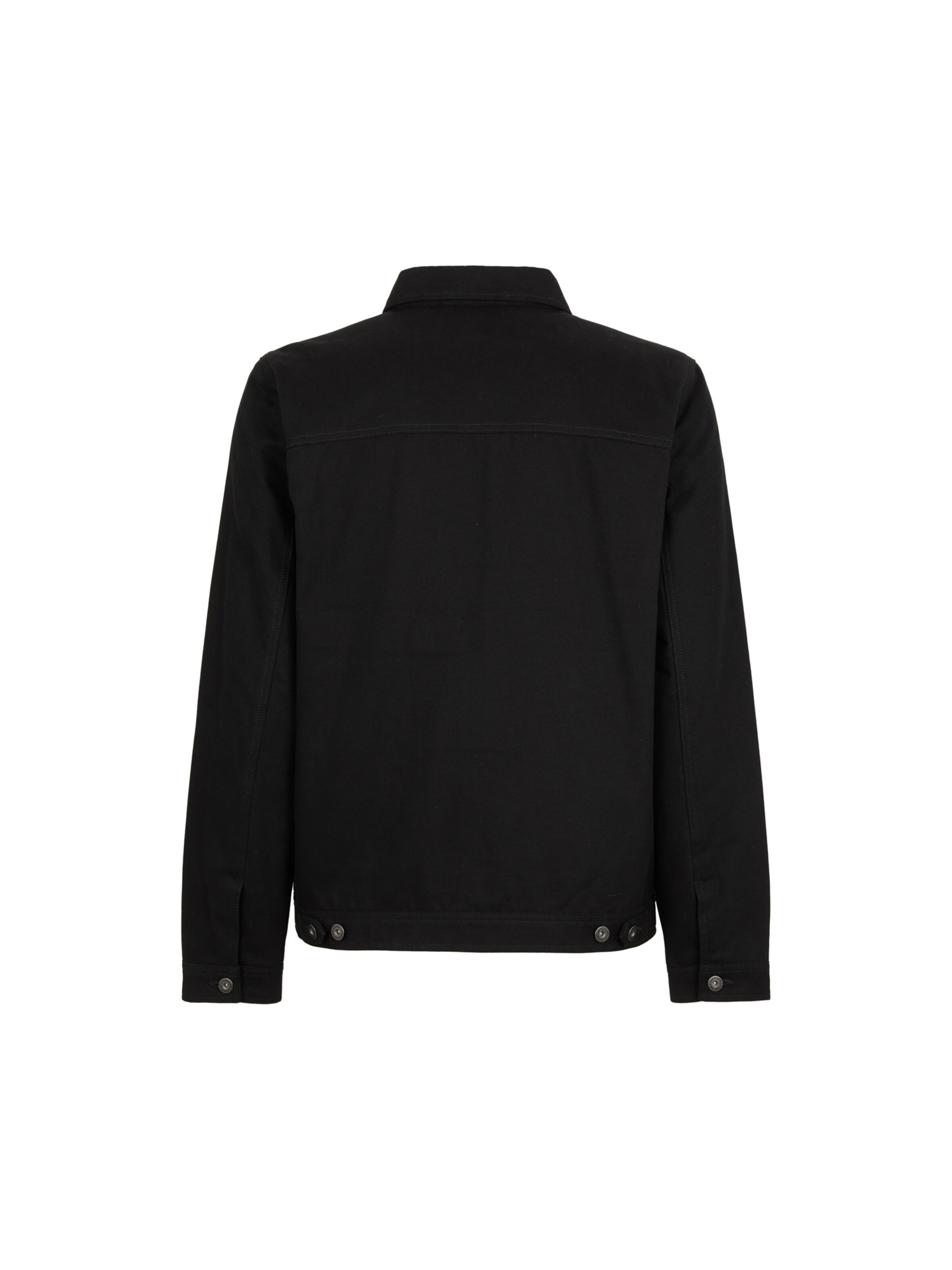 DICKIES Kurtka przejściowa 'DUCK CANVAS PAINTER' w kolorze czarny