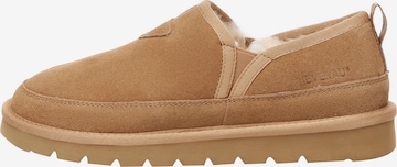 Everau Natikač 'Galah' | rjava barva: sprednja stran