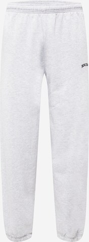 BDG Urban Outfitters Tapered Hose in Grau: predná strana